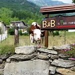 Il Cuore Dei Foresti Bed & Breakfast Villar San Costanzo