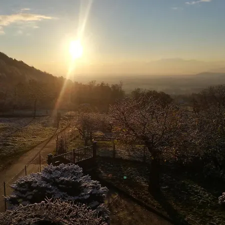 Il Cuore Dei Foresti