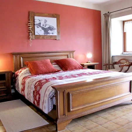 Il Cuore Dei Foresti