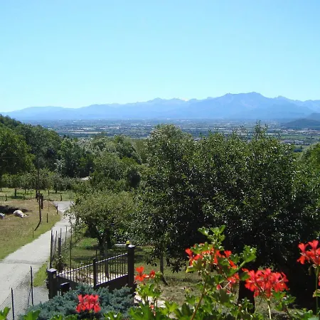 Il Cuore Dei Foresti 3*