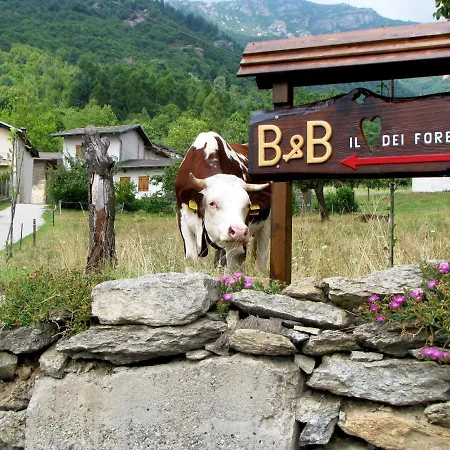 Il Cuore Dei Foresti Alojamento de Acomodação e Pequeno-almoço Villar San Costanzo