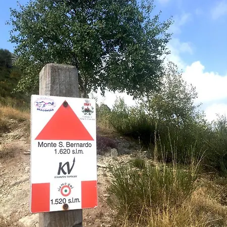 Il Cuore Dei Foresti *