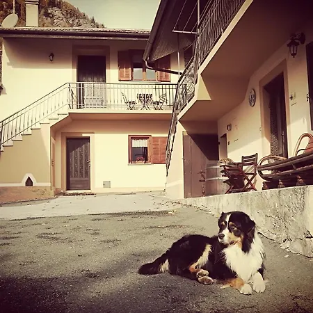 Il Cuore Dei Foresti Villar San Costanzo