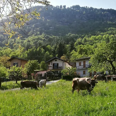 Il Cuore Dei Foresti B&B 빌라산코스탄조