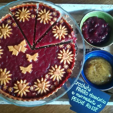 Il Cuore Dei Foresti Villar San Costanzo