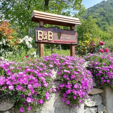 Il Cuore Dei Foresti Villar San Costanzo