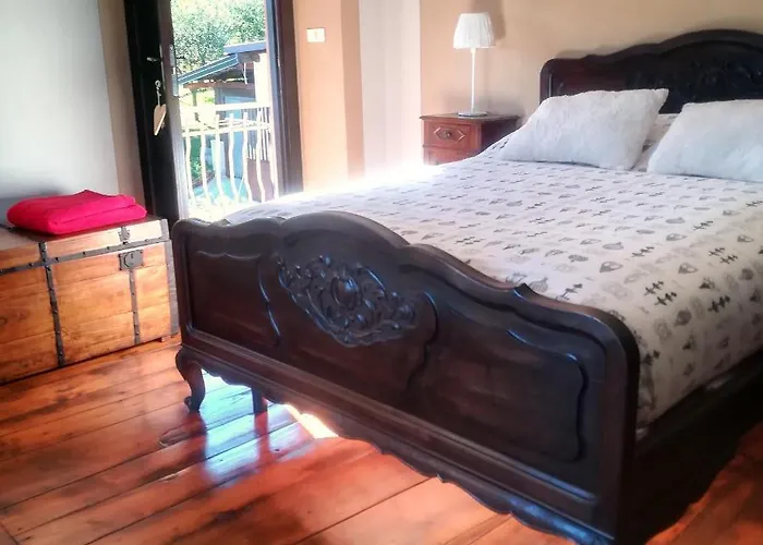 Il Cuore Dei Foresti Villar San Costanzo