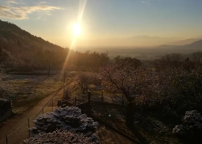 Il Cuore Dei Foresti