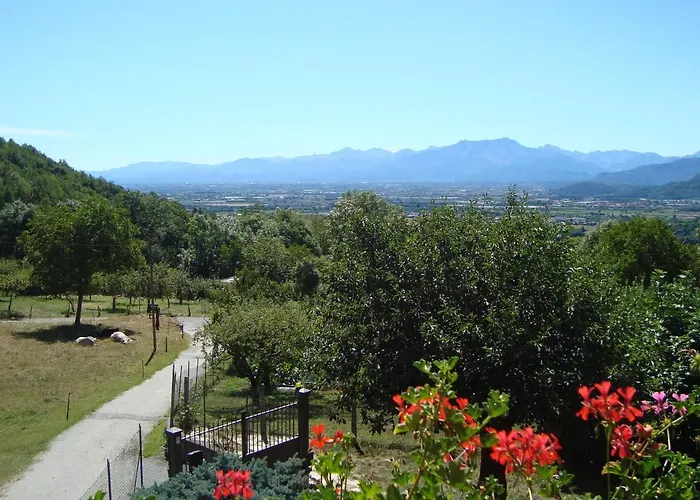 Il Cuore Dei Foresti 3*