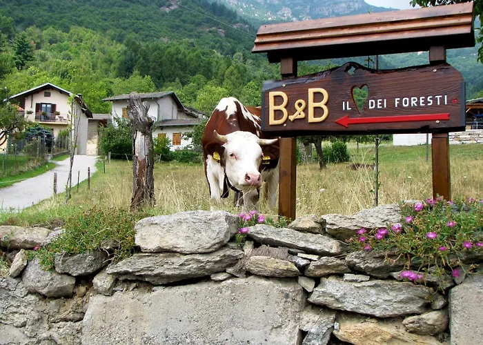 Il Cuore Dei Foresti Bed & Breakfast Villar San Costanzo
