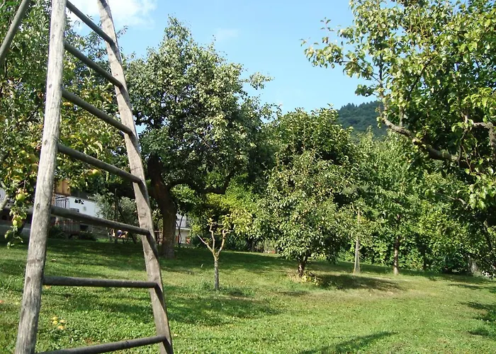 Il Cuore Dei Foresti Bed & Breakfast 3*