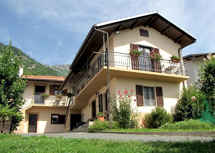 Il Cuore Dei Foresti