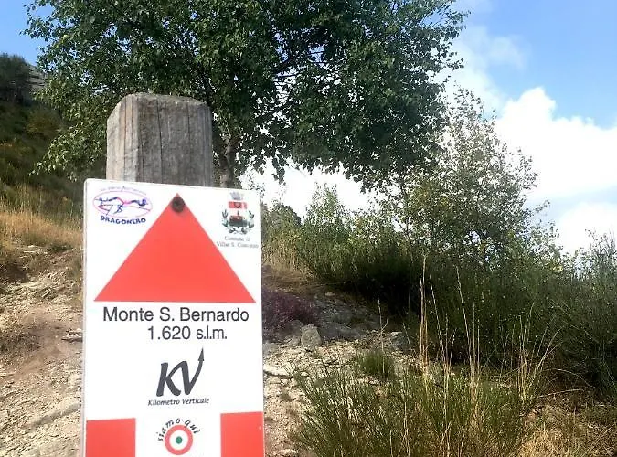Il Cuore Dei Foresti 3*