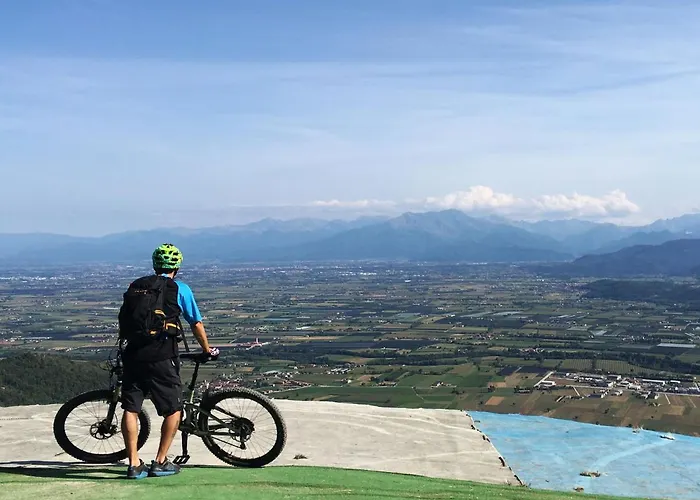 Il Cuore Dei Foresti