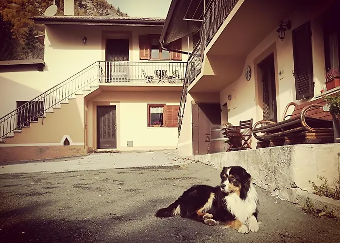 Il Cuore Dei Foresti Villar San Costanzo