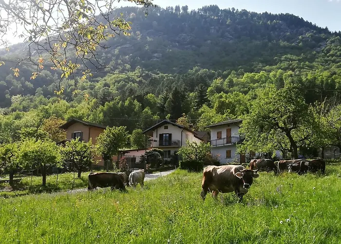 Il Cuore Dei Foresti Bed & Breakfast Villar San Costanzo