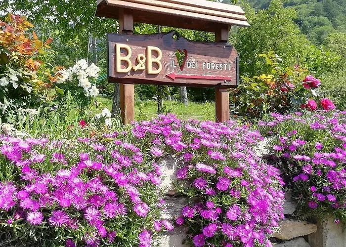 Il Cuore Dei Foresti Villar San Costanzo